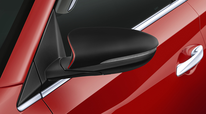 ORVM GARNISH - BLACK